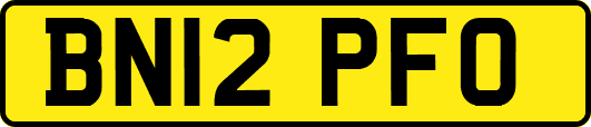 BN12PFO