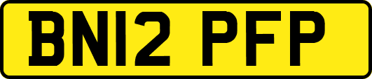 BN12PFP