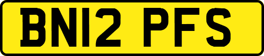 BN12PFS