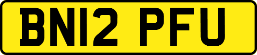 BN12PFU