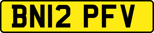 BN12PFV