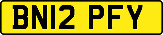 BN12PFY