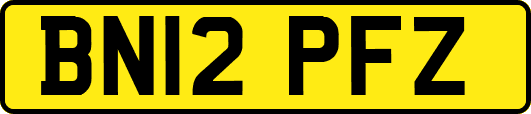 BN12PFZ