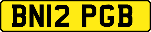 BN12PGB