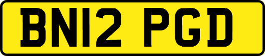 BN12PGD