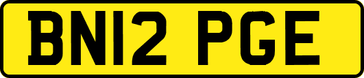BN12PGE