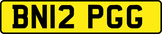 BN12PGG
