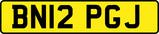 BN12PGJ