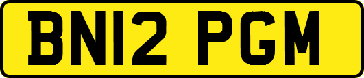 BN12PGM