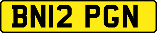 BN12PGN