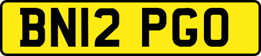 BN12PGO