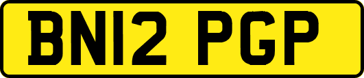 BN12PGP