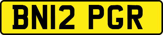BN12PGR