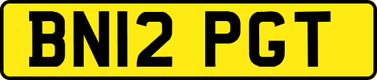 BN12PGT