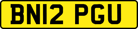 BN12PGU