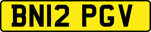 BN12PGV