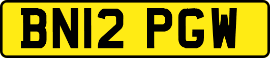 BN12PGW