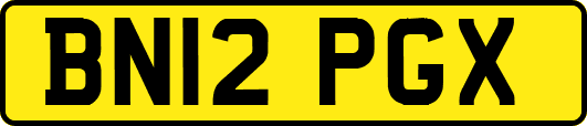 BN12PGX