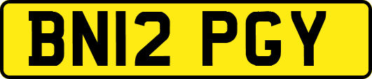 BN12PGY