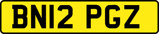 BN12PGZ