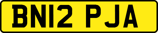 BN12PJA