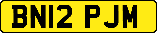 BN12PJM