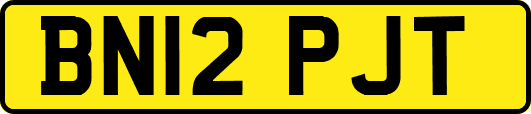 BN12PJT