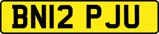 BN12PJU