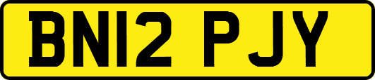 BN12PJY