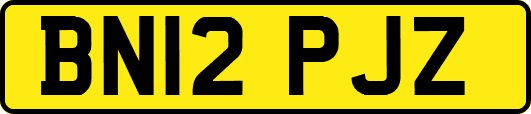 BN12PJZ