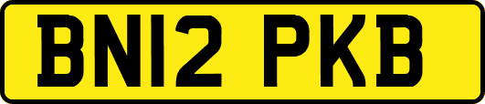BN12PKB