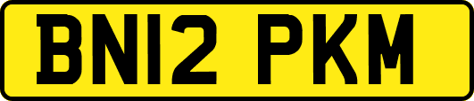 BN12PKM