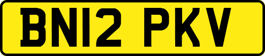 BN12PKV