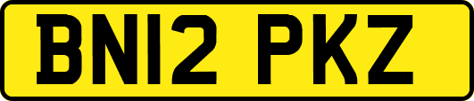 BN12PKZ