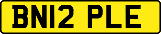 BN12PLE