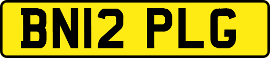 BN12PLG