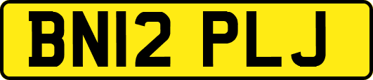 BN12PLJ