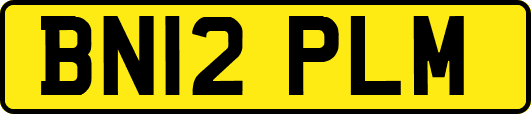 BN12PLM