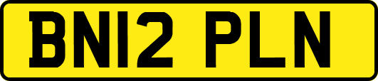 BN12PLN