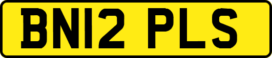 BN12PLS