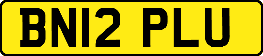 BN12PLU