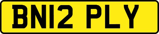 BN12PLY