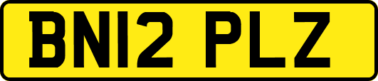 BN12PLZ