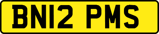 BN12PMS
