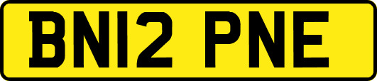 BN12PNE