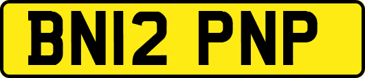 BN12PNP