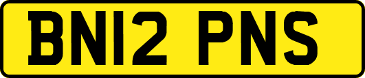 BN12PNS
