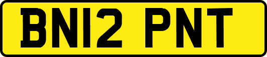BN12PNT