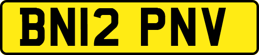 BN12PNV