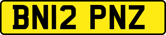 BN12PNZ